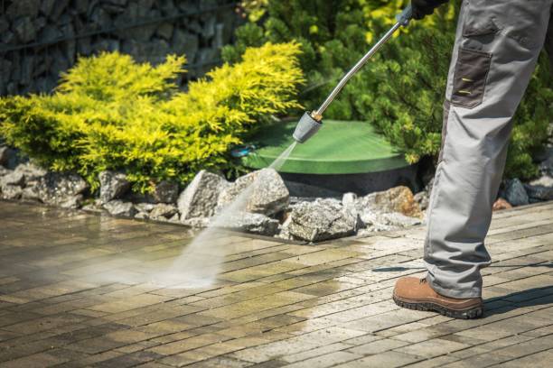 Best Driveway Pressure Washing  in Mulberry, IN