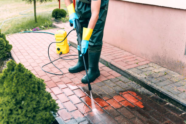 Best Building Exterior Washing  in Mulberry, IN